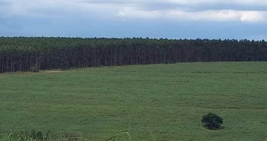 Fazenda 97 Alqueires Sendo 73 em Cana, Planta Até 80 Alqueires, Rica em Água, 2 Ribeirões, Pode fazer 2 Represas em 1 Alqueires cada p/Irrigação.