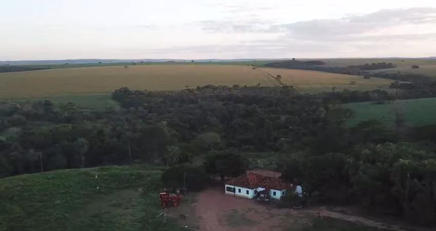 Fazenda 161 alqueires, 12 kms de estrada de chão, 105 alqueires plantado e falta 35 alqueires pra plantar, pagamento em 3x entrada+2x