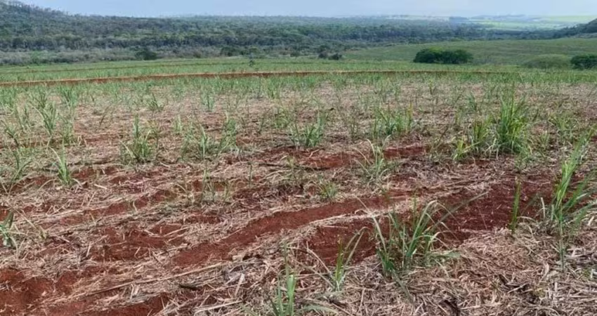 Fazenda com cana a venda na região de são carlos-sp ??   área total 67 alqueires   53 alqueires em cana  usina raízen  53 toneladas /alqueires  contrato até 2027  topografia plana e levemente ondulada