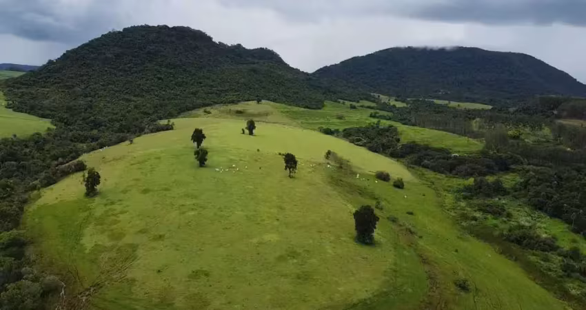 Sitio 15 Alqueires,Otima Localização 3 Pedras,Gigante Adormecido,Rica em Água,Otimo Aproveitamento,Potencial Turistico,Venda só 4 Alqueires tambem