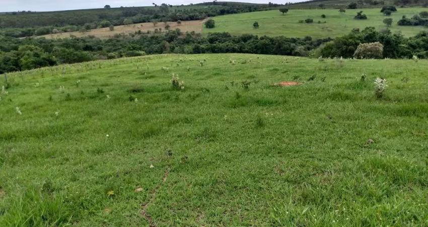 Sítio 8,2 Alqueires, Sem Benfeitorias, Rica em Água com Nascente e Córrego, Dupla Aptidão, Ótima Localização