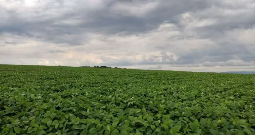 Fazenda 303 alqueires, 182 alqueires em cana, 10 alqueires em soja, topografia plana e levemente ondulada, terra vermelha, benfeitorias