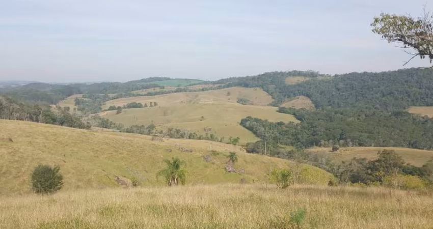 Fazenda 65 Alqueires, Rica em Água com 3 Açudes, Ótima Para Criação de Gado, Casas Sede e Caseiro, Barracão, Toda Cercada, Aceita Parte em Permuta