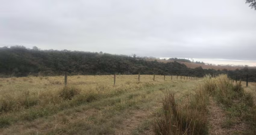 Fazenda 59 Alqueires, Rico em Água com Córrego e Nascentes, Formada em Pasto na Pecuária, Terra Mista, Boa Topografia, Poço Artesiano, 3 Casas