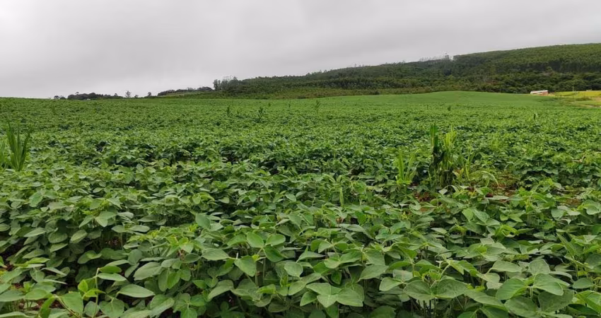 Chácara EXCELENTE SÍTIO A VENDA EM PILAR DO SUL-SP ??   - Área Total 4 Alqueires   - 3,5 Alqueires em Plantio  - Topografia Semi Plana e Levemente O