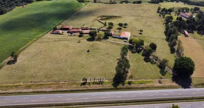 Sítio 12,7 Alqueires, Topografia Plana, Solo Argiloso, Casa Sede e Casa de Caseiro, Barracão, Mangueira com Balança, Baia, 2 Ribeirões, Nascente