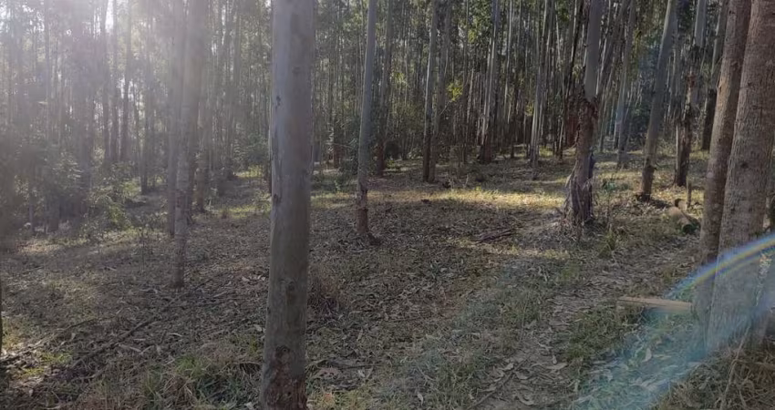 Sítio 14,5 Alqueires, 9 Alqueires em Eucalipto, 3 Alqueires em Pasto, Casa Sede Boa, Casa de Caseiro, Curral, Ótima Localização