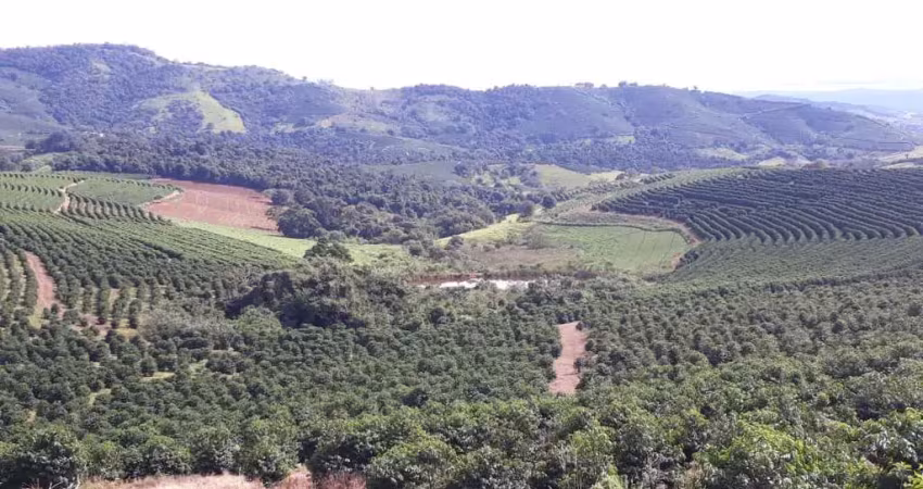 Fazenda 104 alqueires, 28 alqueires em café, 3 alqueires em eucalipto, 50 alqueires em pastagem, ótima infraestrutura, ótima localização