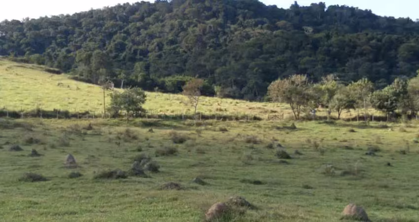 Fazenda 125 Alqueires, Rica em Água com Varias Nascentes, Represa e Rio, Casa Sede, 2 Casas Caseiro, Curral, Rancho, Ótima Localização