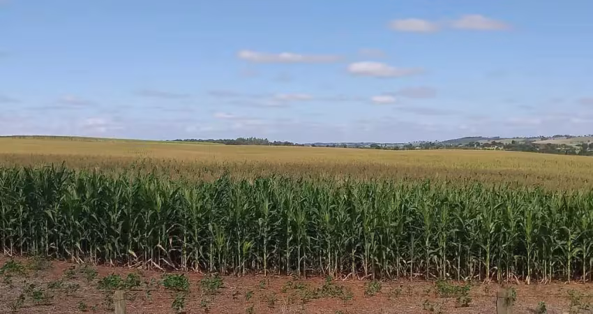 Sítio 28 alqueires, rico em água com açude, acesso asfaltado, 25 alqueires em plantio, topografia plana, terra vermelha, casa de caseiro