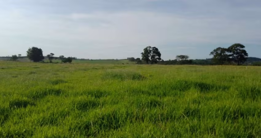 Sítio 16,5 Alqueires, Rico em Água com Corrego, 13 Alqueires em Área Para Plantio, Boa Topografia, Solo Misto, Casa Simples,Balança,Cocheiro,Mangueira