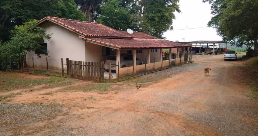 Chácara 4,85 Alqueires, Rica em Água, Planta 3,5 Alqueires, Topografia Plana, Terra Vermelha e Mista, 4 Estufas, Casa Sede, Barracão,Ótima Localização