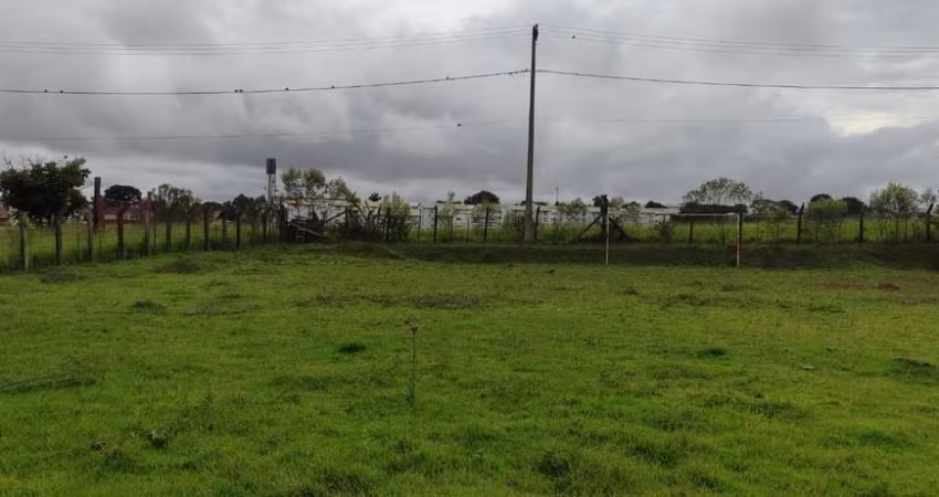 Chácara 11000m2, Área Boa Para Loteamento, Localização Nobre, 500 Metros do Asfalto, Casa Sede, Campo de Futebol, Galpão