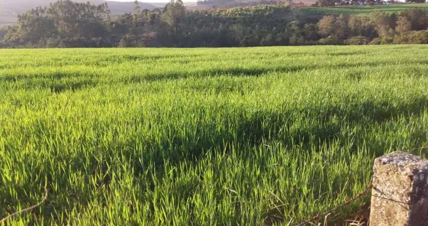 Fazenda 46 alqueires, rica em água com rio, 22 alqueires em plantio, 10 alqueires em eucalipto, aproveitamento de 70%, casa sede e casa de caseiro