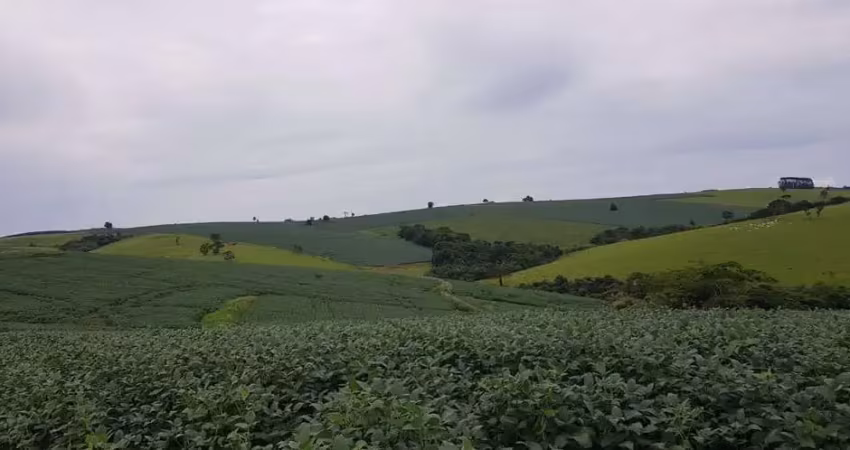 Fazenda 213 alqueires, dupla aptidão, topografia plana, rica em água com nascentes, aproveitamento de 85%, casa sede, casa caseiro, curral, galpão