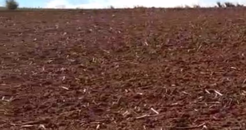 Fazenda 42 Alqueires, Bom de Água, Planta 35 Alqueires, Topografia Plana, Solo de Terra Mista Roxa