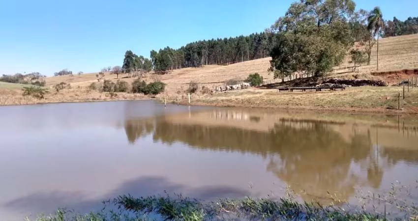 Sítio 25 Alqueires, 5 Alqueires com Eucalipto, Bom de Água, Lago, Terra Vermelha, Casa pra Caseiro