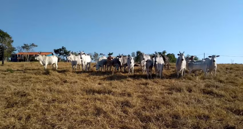 Sítio 14,21 Alqueires, Casa Sede com 196m2, 3 Dormitórios, 2 Banheiros, Pomar, Divisa com Rio, Poço Caipira, 400 Arvores de Eucalipto,