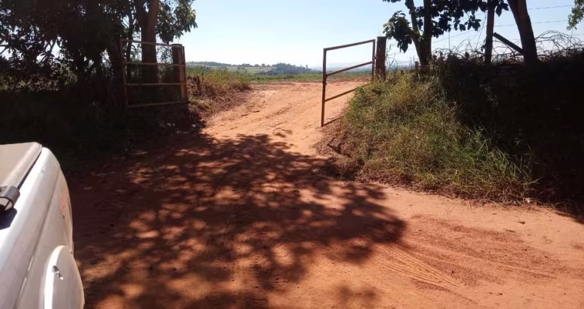 Sítio 39 Alqueires, Cercada por Água, Bom de Topografia, Sem Benfeitorias, Energia Proxima