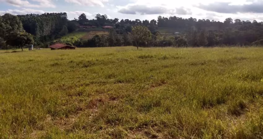 Loteamento chacreamento tambaú 20.000m2(só terra s/casa)12 kms da rodovia castelo branco documentação ok escriturado,plano bem localizado