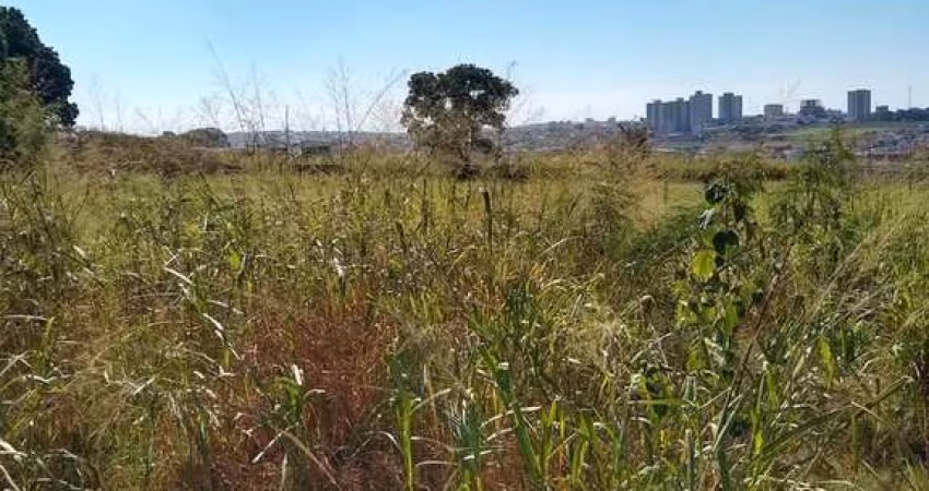 Terreno 3000m2 Plano,Bem Localizado Bom P/Condomínio de Sobradinhos Aceita Permuta Fisica em Torno de 20% do VGV