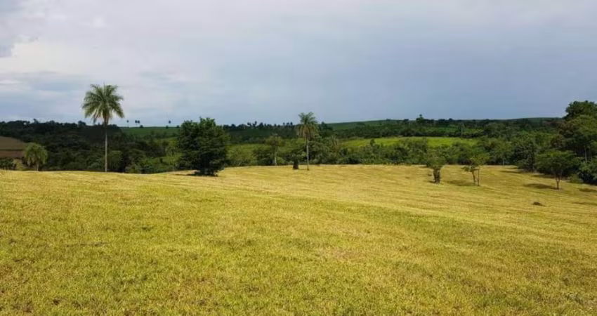 Condomínio Estancia Arvore da Vida Lote 513m2, 27mts Frente e 19mts Laterais