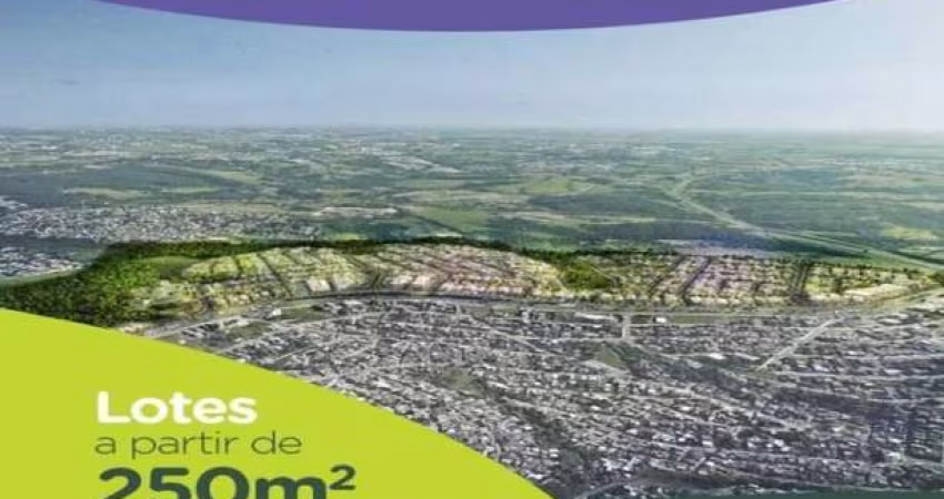 Bela Aliança Loteamento aberto Lotes a Partir de 250m2 Com/Res