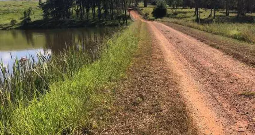 Porteira fechada (área 53.00 alqueires) no município de são joão da boa vista sp. ? 120.000 pés de café 100% mecanizavel ( tratos culturais e colheit