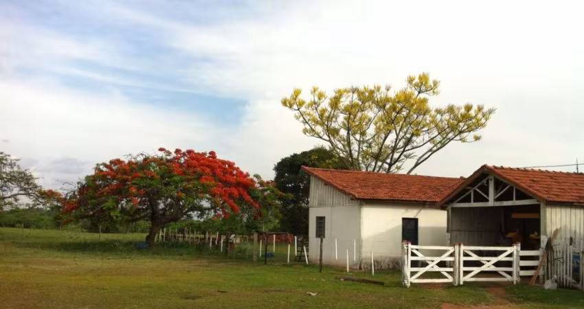 EXCELENTE FAZENDA A VENDA NA PECUÁRIA NA REGIÃO DE PRESIDENTE PRUDENTE - SP ??   Área Total: 390 Alqueires   Aptidão: Pecuária   Em Pastagem: 275 Alqueires  Restante: App, Reserva e Água   Solo: Argil
