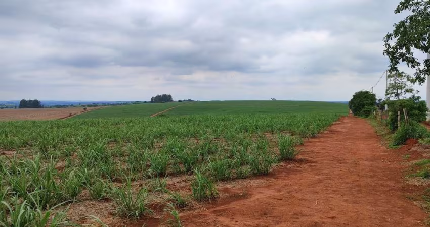 EXCELENTE FAZENDA A VENDA EM ITAPETININGA-SP ?? ?   Área Total: 42 Alqueires  Em Cana: 37 Alqueires    Restante: Reserva e App   Topografia: Plana a Levemente Ondulada   Solo: Vermelho e Misto   Hidro