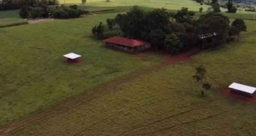 *excelente sítio a venda em itapetininga-sp* ??   área total de 29,52 hectares ou 12,19 alqueires   formada em pasto com ótimo aproveitamento   11 alqueires em pasto   solo de terra vermelha   topogra