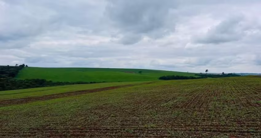 *excelente fazenda a venda em santa cruz do rio pardo - sp* ??   área total: 115 alqueires   área de plantio: 98 alqueires   topografia: plana e semi plana   solo: roxo e misto   hidrografia: 3 açudes
