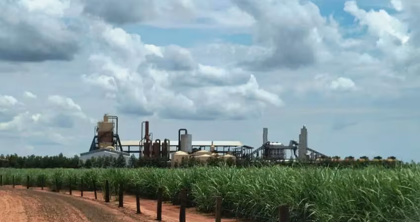 *usina de açúcar e álcool a venda no estado de são paulo* ??  começou seu funcionamento em 2.024 com equipamentos novos e tecnologia moderna esse ano irá moer 200 mil safra teste e ajuste da planta an