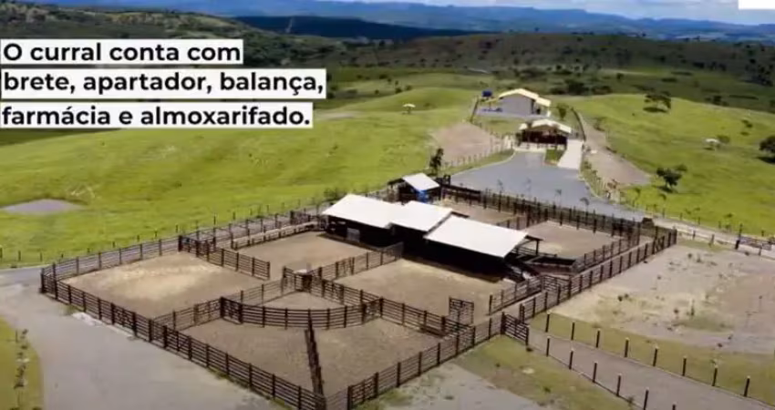 ?fazenda em pirenópolis-goias ? ?238 alqueires goianos   ?sede de luxo ?   ?180 alqueires formados em pasto com 60 divisão , todos com excelente forma de pasto tipo de capim  braquiarão   todos com re
