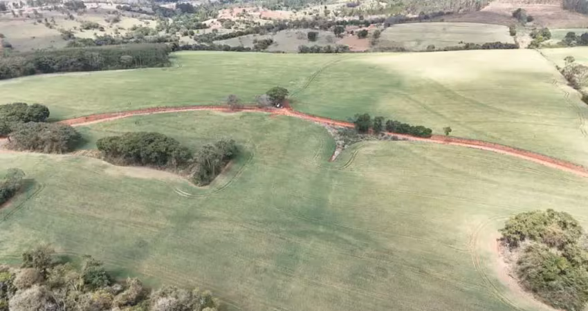 *excelente sítio a venda na região de itapetininga-sp* ??   formação: cultura de grãos   área total: 35,78 hectares ou 14,78 alqueires    em lavoura: 26,7 hectares ou 11 alqueires   restante: app e re