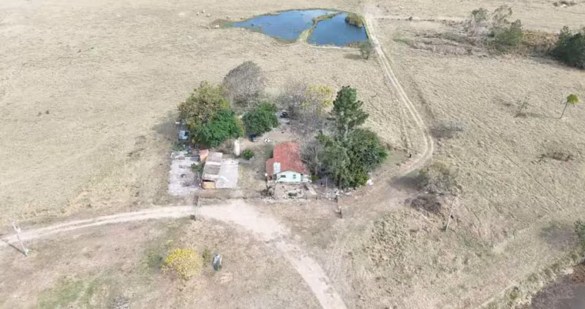 *oportunidade de negócio* ? *excelente fazenda a venda na região de botucatu-sp* ??   formação: pastagem  área total: 294 alqueires ou 712 hectares   pastagem: 150 alqueires ou 363 hectares   restante