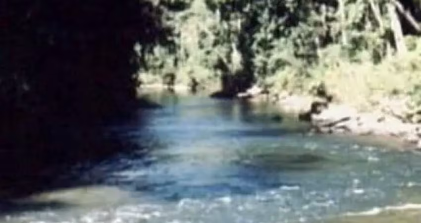 *área de mata atlântica a venda no estado de são paulo* ??    localização: iporanga-sp / vale do ribeira   área total: 808,29 hectares ou 334 alquei