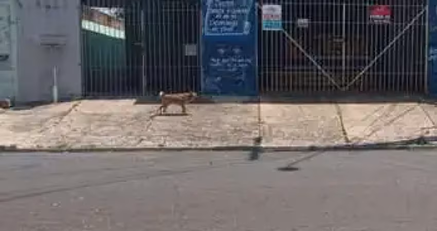 Vendo casa no santa lúcia 375 metros de terreno . com um salão comercial. alugado para igreja. locação de 1.500,000 mais 2 casa com 2 dormitórios sala e banheiros . locação 1 500,000  , chegando uma r