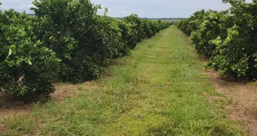 *excelente fazenda de laranja na região de avaré-sp* ?? ?   ?? *exclusividade de venda* ??   - área total de 2.307 hectares ou 953 alqueires  - 500 alqueires em laranja - 200 alqueires em lavoura - 8,