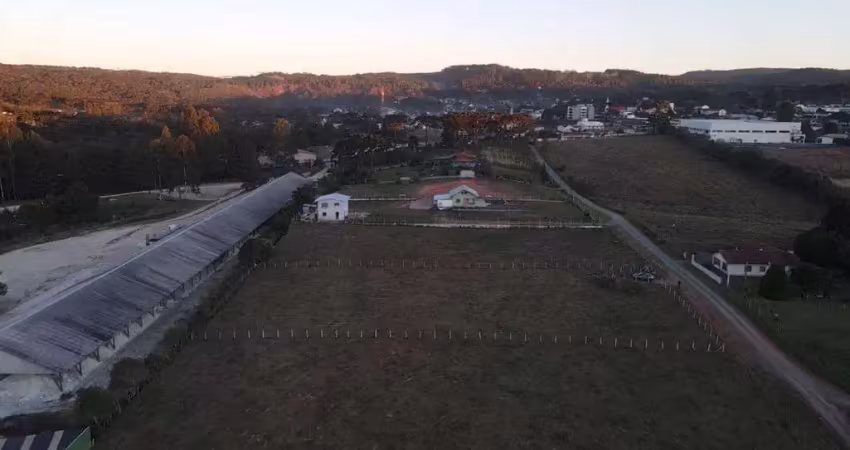 Terreno à venda em Santo Antônio, Campo Alegre 