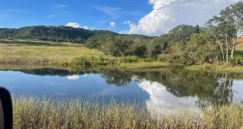 FAZENDA DUPLA APTIDÃO à venda em Campina Verde - Minas Gerais