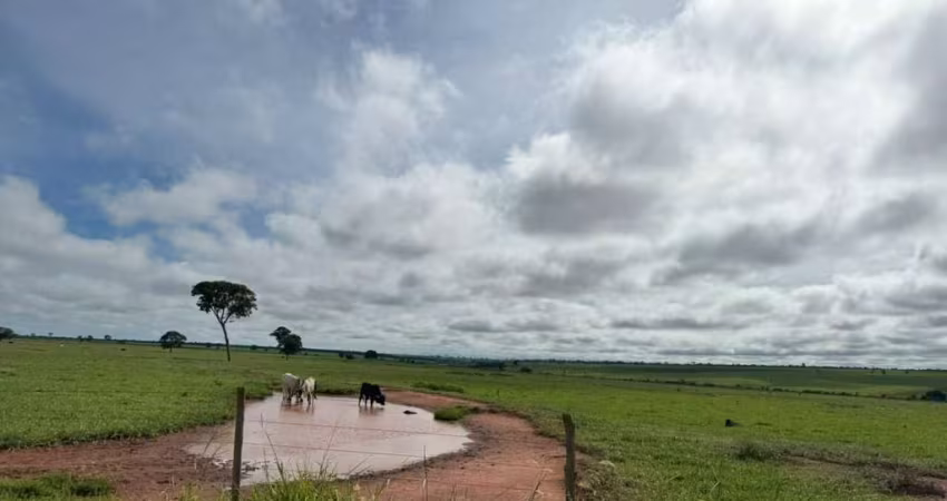 Fazenda em São Sebastião do Pontal (Carneirinho) / MG