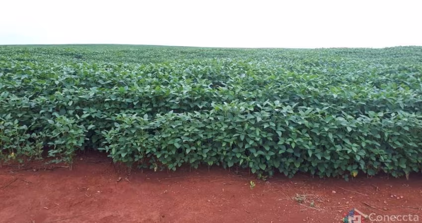 Fazenda a venda em Sacramento/MG