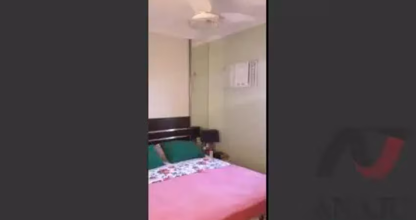 Apartamento Padrão Campos Elíseos, Ribeirão Preto - SP