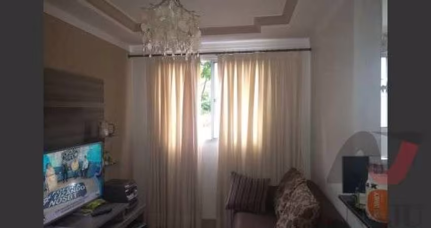 Apartamento Padrão Jardim Manoel Penna, Ribeirão Preto - SP