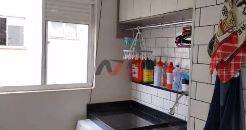 Apartamento Padrão Quintino Facci II, Ribeirão Preto - SP