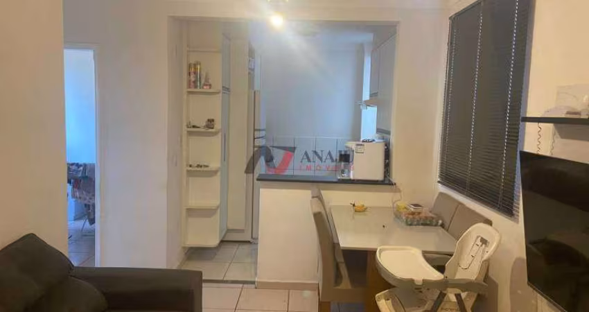 Apartamento Padrão República, Ribeirão Preto - SP