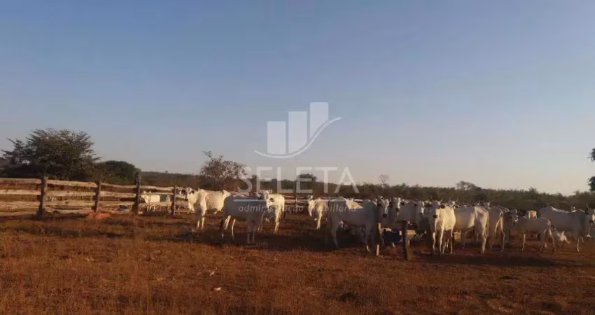 Fazenda à venda na Fazenda Paredão - Núcleo Fazenda, Zona Rural, General Carneiro