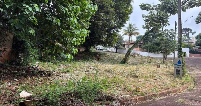 Terreno à venda, 446 m² -  Rua José Alceu Gimenez, n° 325, Monte Carlo - Londrina/PR