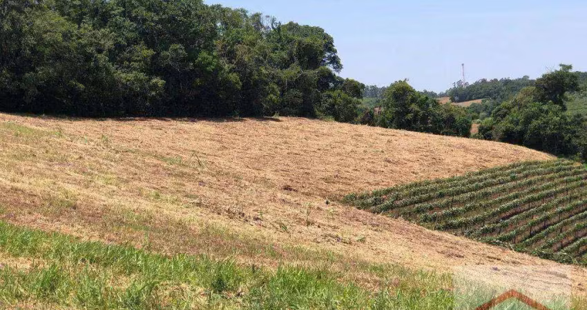 Área à venda, 40000 m² por r$ 2.300.000 - rio acima - jundiaí/sp.